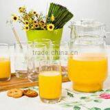 1000ml Classic Collapsible Glass Water Jug thumbnail-5