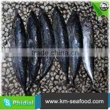 Hot Selling Without Faure Marin Bonito Exporting thumbnail-3