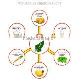 Moringa Leaf Powder thumbnail-2