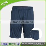 Brief Waterproof trendy men beach shorts for bodywear and promotiom,good quality fast delivery