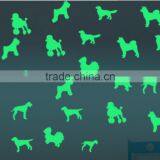 Fashional Glow in the Dark Vinyl/luminescent Vinyl Film/photoluminescent Film thumbnail-6