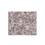 Rose Porrino thumbnail-1