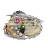 2017 New Colored Freshwater Cultured Pearl Oyster Dyed Fashion Design thumbnail-2