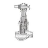 stop check valve of power station valves