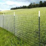 Welded Wire Mesh Fencing Rigid Panel