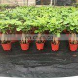 Agricultural PP Weed Barrier for Landscaping Fabric thumbnail-3