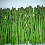 IQF Green Asparagus thumbnail-5