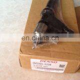 DENSO Fuel Injector 095000-5226 for HINO E13C