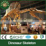 Lisaurus-J Skeleton Spinosaurus Model of Dinosaur