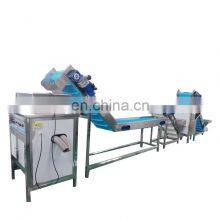 Garlic Peeling Production Line Garlic Allium Sativum Fruit Processing Equipment thumbnail-4