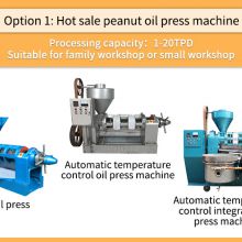Home use Groundnut Oil Expeller Groundnut Oil Production Machine Small Scale Groundnut Oil Processing Equipment