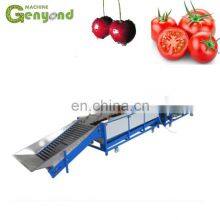 Fruit & Vegetable Washing/drying/waxing/sorting Line/machine/fruits Processing Plant thumbnail-3