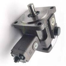 VGPE Hydraulic Vane Pump VGPE-F25D-PA-10 VGPE-F30D-PA-10 VGPE-F40D-PA-10 VGPE-F35D-PA-10 Variable Displacement Vane Oil Pump thumbnail-4