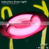 grow lamp item type induction grow light and infrared light growing plants