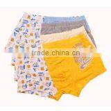 Cute Boy Underwear Models thumbnail-1