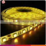 SMD5050 60leds IP65 Flexible LED Strip Lights 12v thumbnail-1