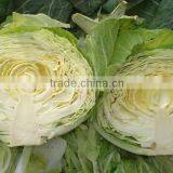 Fresh Green Round 2014 Cabbage thumbnail-1
