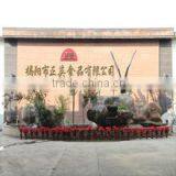 Jieyang Zhengying Foods Co., Ltd. company overview - view 2 thumbnail