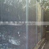 PVC Steel 358 Security Fence Prison Fence /358 Fence