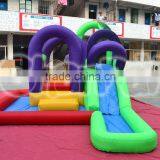 2015 New Residential Kids Inflatable Water Slide and Pool Bouncer