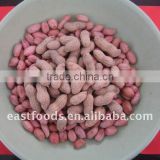 2013 raw crop washed peanut in shell