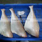 FROZEN LEATHER JACKET HGT thumbnail-5