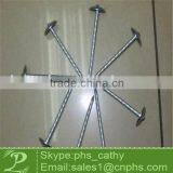 Galvanized Roofing Nail thumbnail-1