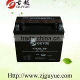 Maintenance Free 12v Deep Cycle Agm Battery