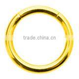 Zircon Gold Smooth Segment Ring