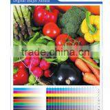 Eco-solvent PET Film/inkjet Media/PP Paper Matte/inkjet Advertisement