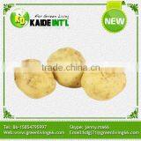 2016 China Alibaba Best Fresh Potato Price