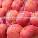 Fresh Fuji Apple thumbnail-5