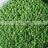 Best Sale of Frozen Fresh Green Pea New Crop thumbnail-3