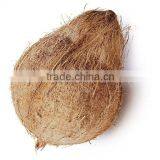 Cheap semi coconuts for sale