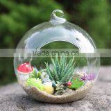 Hanging Glass Flowers With Plant Inside--12cm