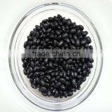 JSX Sweet Black Kidney Bean Common Export Black Bean thumbnail-4