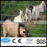 China Grassland Fence Wire (ISO 9001 and CE) thumbnail-1
