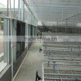 Polycarbonate Sheet Cover Agricultural Greenhouse PC Sheet Covered Greenhouse thumbnail-5