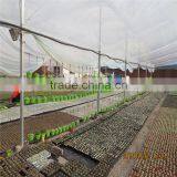 Factory Prices Non-wetting Mushroom Growing Greenhouse thumbnail-3