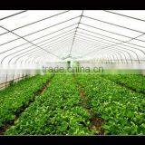 Multi Span PE Cover Film PE Greemhouse Film for Vegetable Greenhouse thumbnail-1