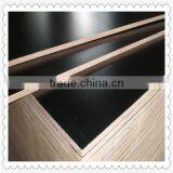 Film Faced Plywood / Marine Plywood /Shuttering Plywood thumbnail-4