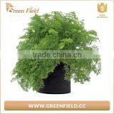 High Quality Fabric Garden Pots Felt Vegetable Plant Grow Bags thumbnail-2