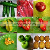 SJH1492909 Vegetable and Fruit Decoration Tools Plastic Fruit and Vegetables for Kids Plastic Toys Fruits and Vegetables