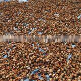 Cinnamon Spices thumbnail-3