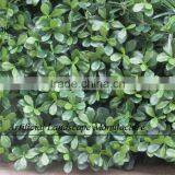 Artificial Green Wall for Hotel Decoration,fake Plants Wall Home Decoration thumbnail-3