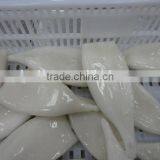 Frozen Tordarodes and Argentina Squid Tube thumbnail-2