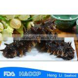 Hot sale chinese sea cucumber