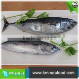 China Manufacturer Fresh Frozen Bonito Fish For Sale thumbnail-4
