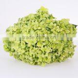 Fresh Cut Flower With High Quality Single Stem Hydrangea Flowers Wedding Decoration Wholesale From Yunnan,China thumbnail-6