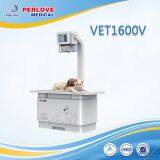 Diagnostic X Ray System VET1600V for Pet Radiography